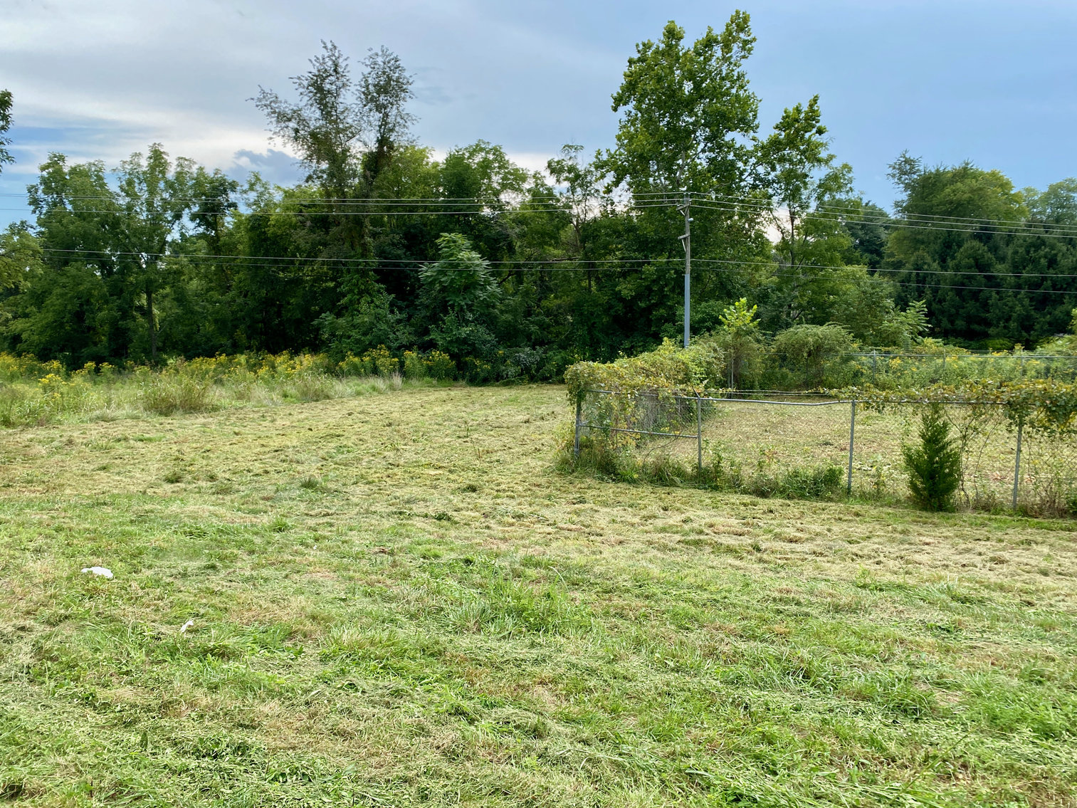 Image for 3.57 +/- Acre Parcel w/Fenced Storage Lot in Orange County, VA--ONLINE ONLY BIDDING!!