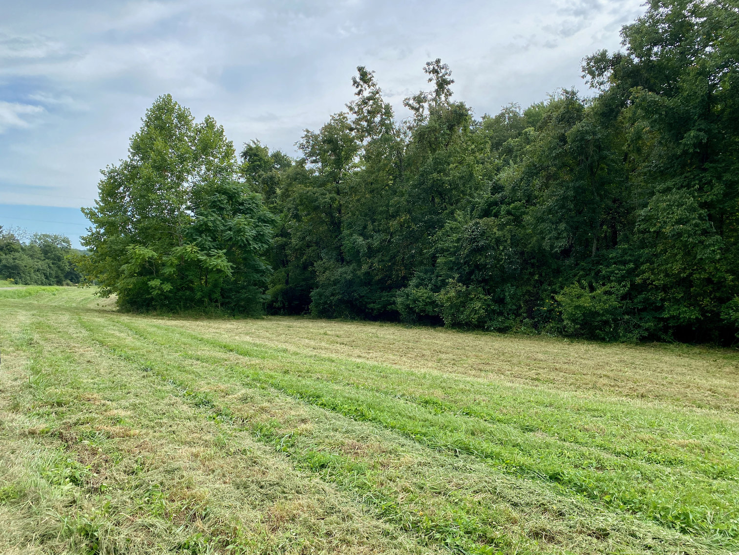 Image for 3.57 +/- Acre Parcel w/Fenced Storage Lot in Orange County, VA--ONLINE ONLY BIDDING!!
