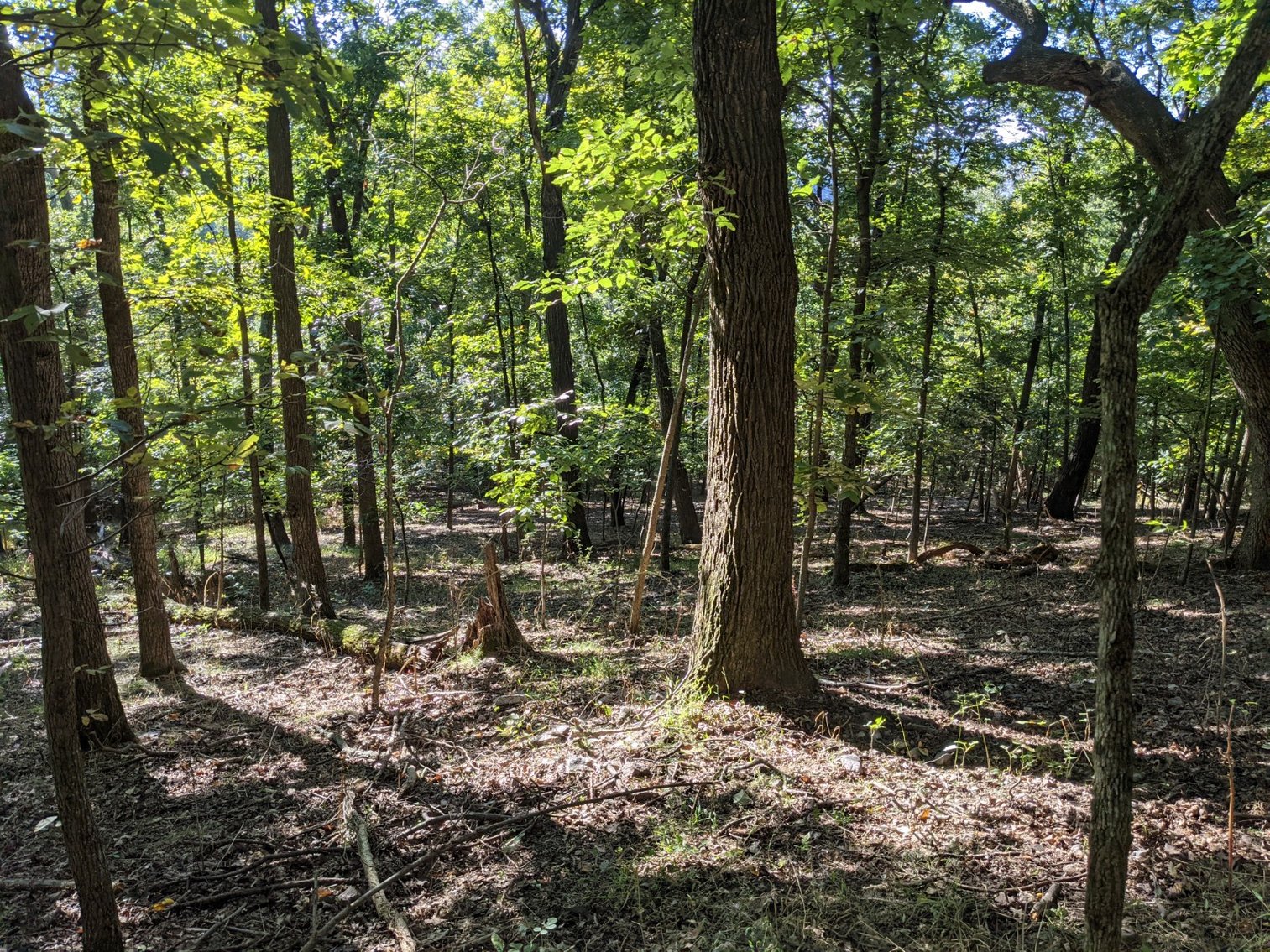 Image for 9.22 +/- Acres Near Broadway VA