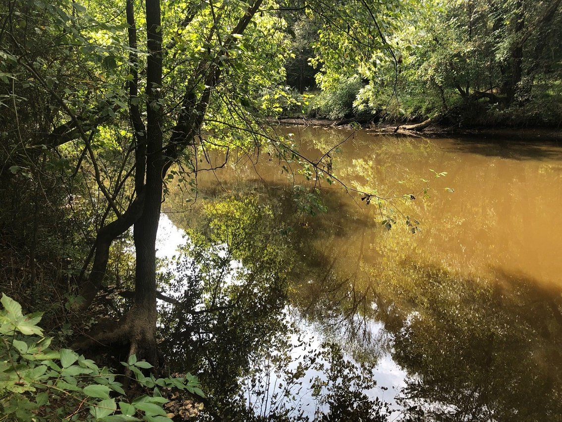 Image for Estate of the Late Eugene B. Marley, Jr.- 39 Acres Divided 3 Lots