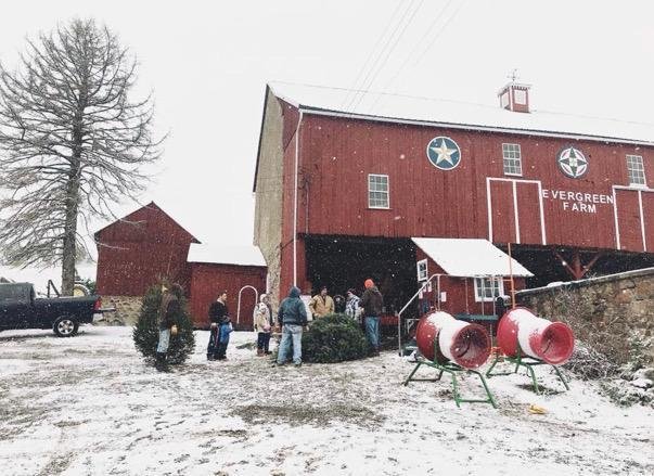 Image for Benefit Auction | Quakertown Christian School Fall Fest | October 17, 2021 at 7:00 PM