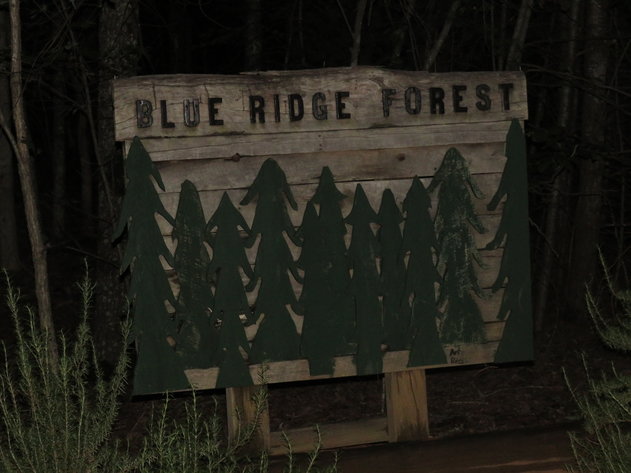 Image for 150  White Pine Ct,  Monroe, VA  24574