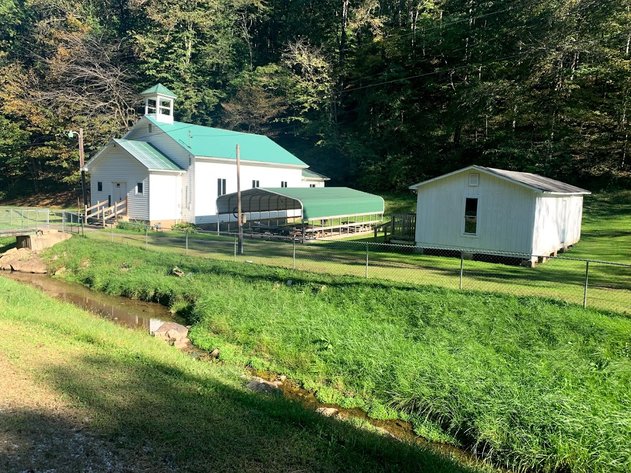 Image for Absolute Real Estate Auction