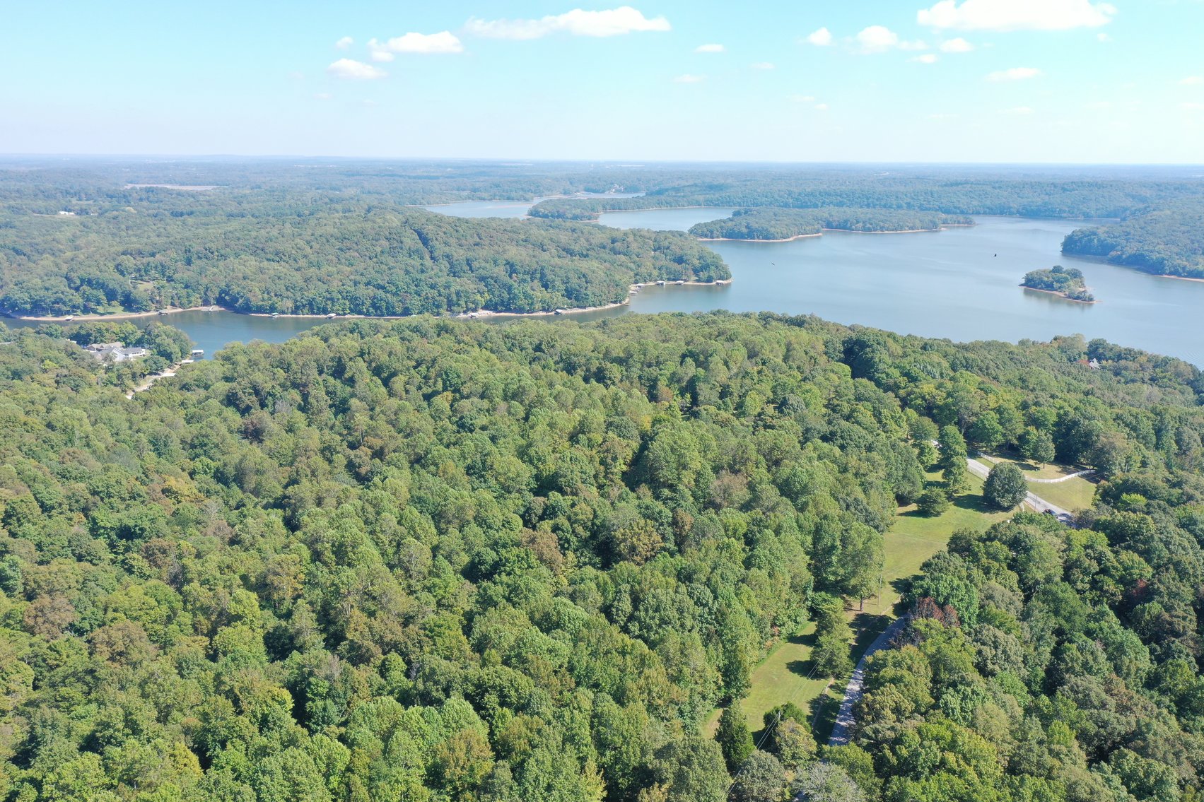 Image for 41+/- Acre ABSOLUTE LAND AUCTION