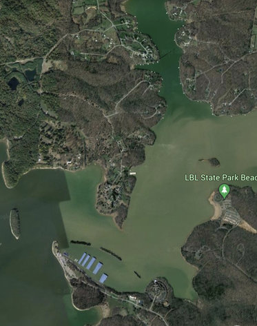 Image for 41+/- Acre ABSOLUTE LAND AUCTION