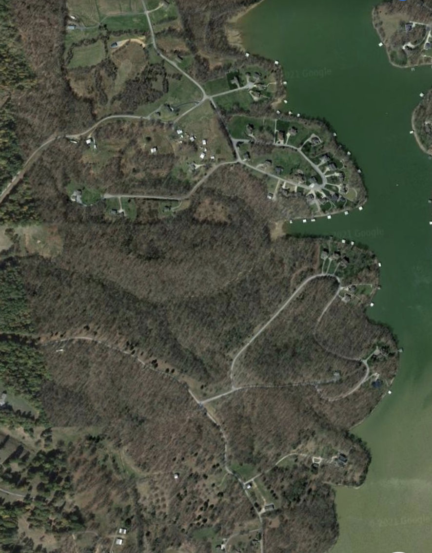 Image for 41+/- Acre ABSOLUTE LAND AUCTION