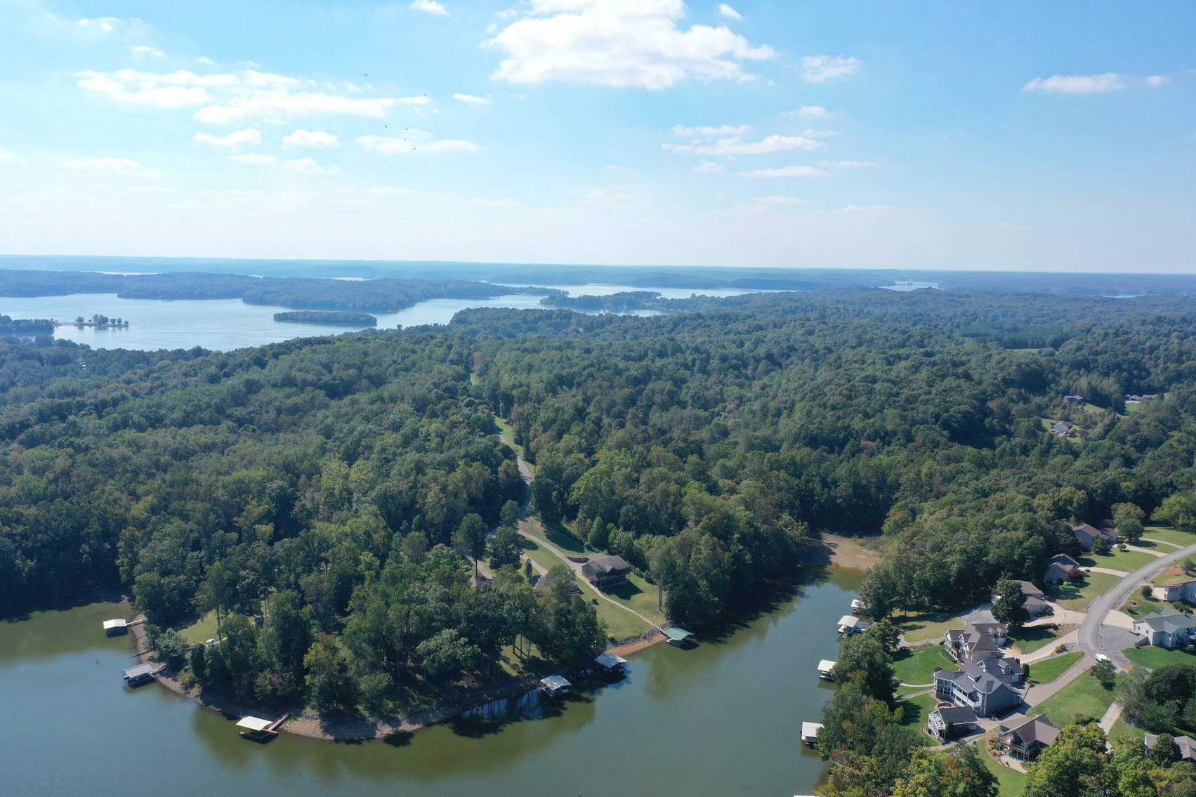 Image for 41+/- Acre ABSOLUTE LAND AUCTION