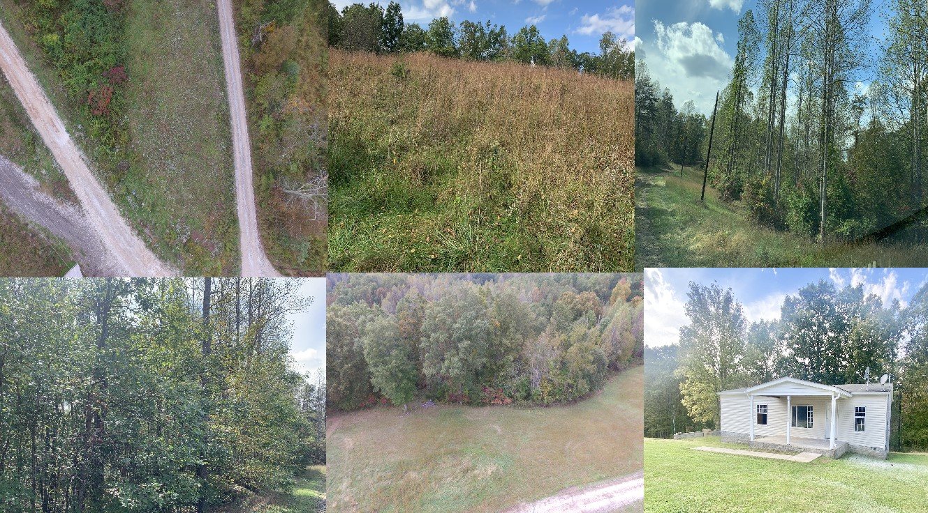 Multiple Properties in Basswood Subdivision