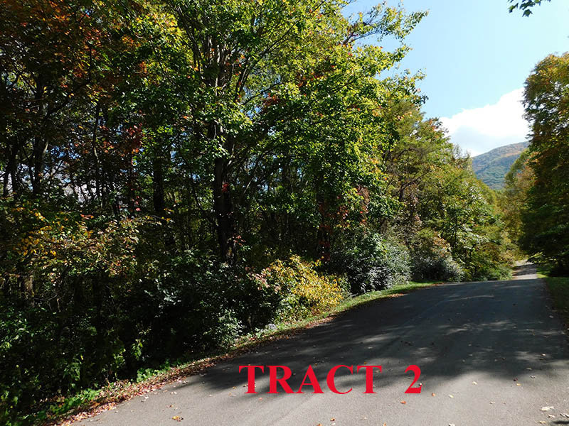 Image for SATURDAY, OCTOBER 30th * 10:00 AM (PREVIEW 9 AM)