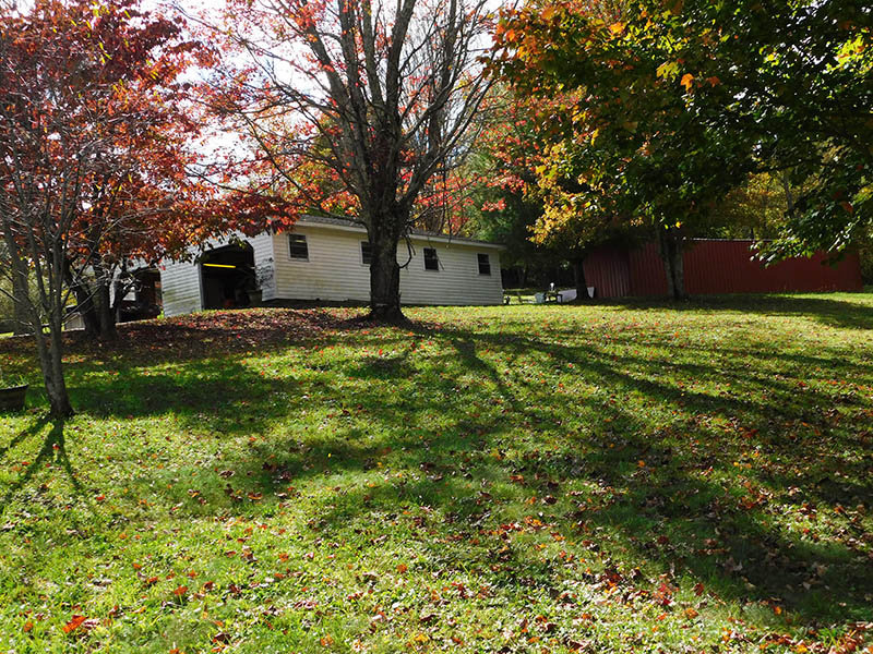 Image for SATURDAY, OCTOBER 30th * 10:00 AM (PREVIEW 9 AM)