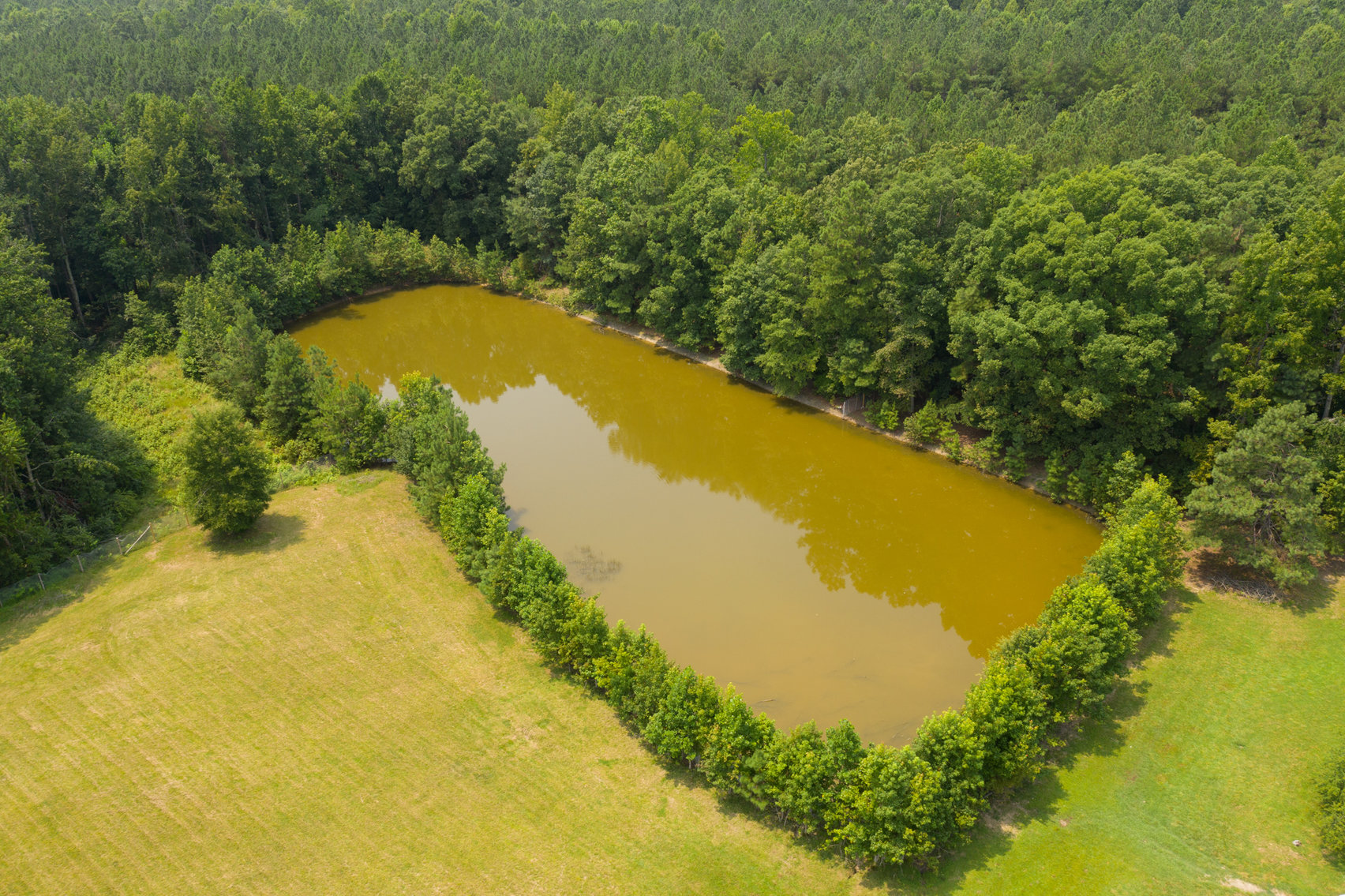 Image for 3 BR/2 BA Brick Rancher Situated on 20± Acres With a Pond - 1,740 SQFT - 4317 Grubby Rd, Wilsons, VA 23894