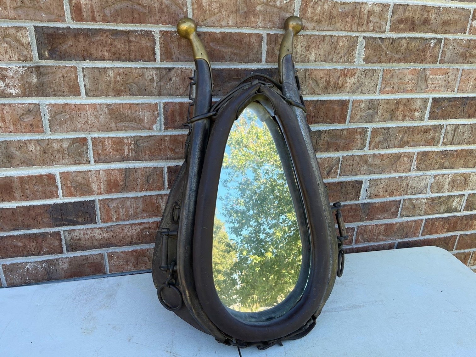 Image for Carl & Ellen Buck Lifetime Collection