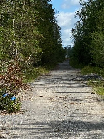 Image for 79.8 ACRES OAKSHIRE MANOR, BAYOU CANE/HOUMA, LA 70364