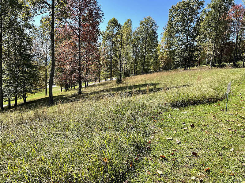 Image for THURSDAY, NOVEMBER 4th * 1:00 PM