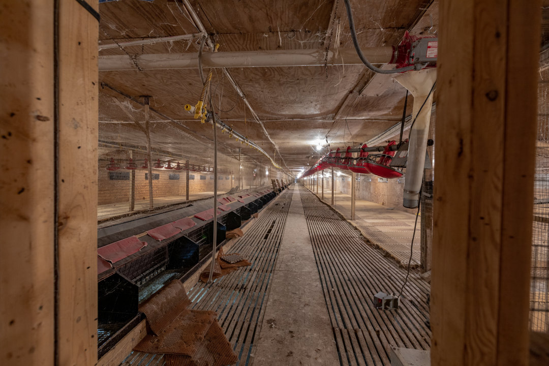 Image for 4 Poultry Houses, Office, Egg Room & Detached Warehouse/Shop on 5 +/- Acres in Lunenburg County, VA--SELLING to the HIGHEST BIDDER!!