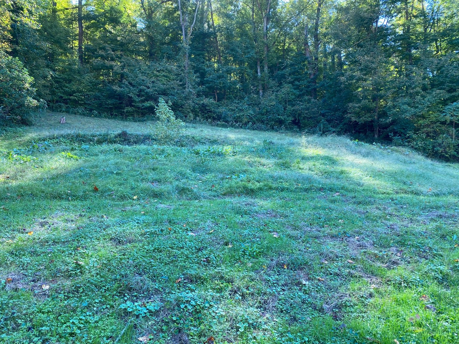 Image for SOLD $52,250 - Move-in Ready 3-Bedroom Tri-Level