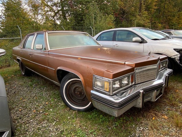 Image for 11-21 City of Greensboro Impounds