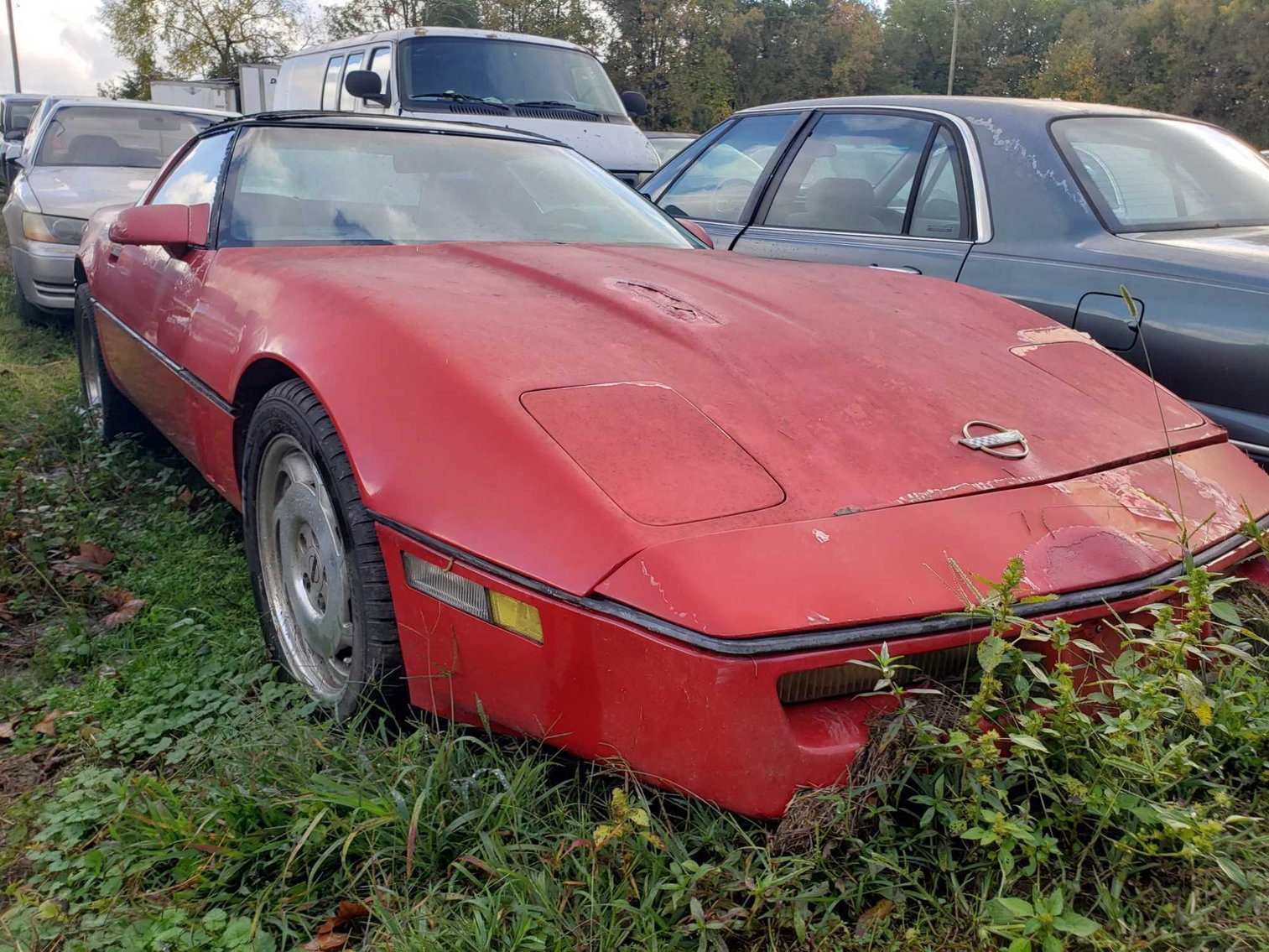 Image for 11-21 City of Greensboro Impounds