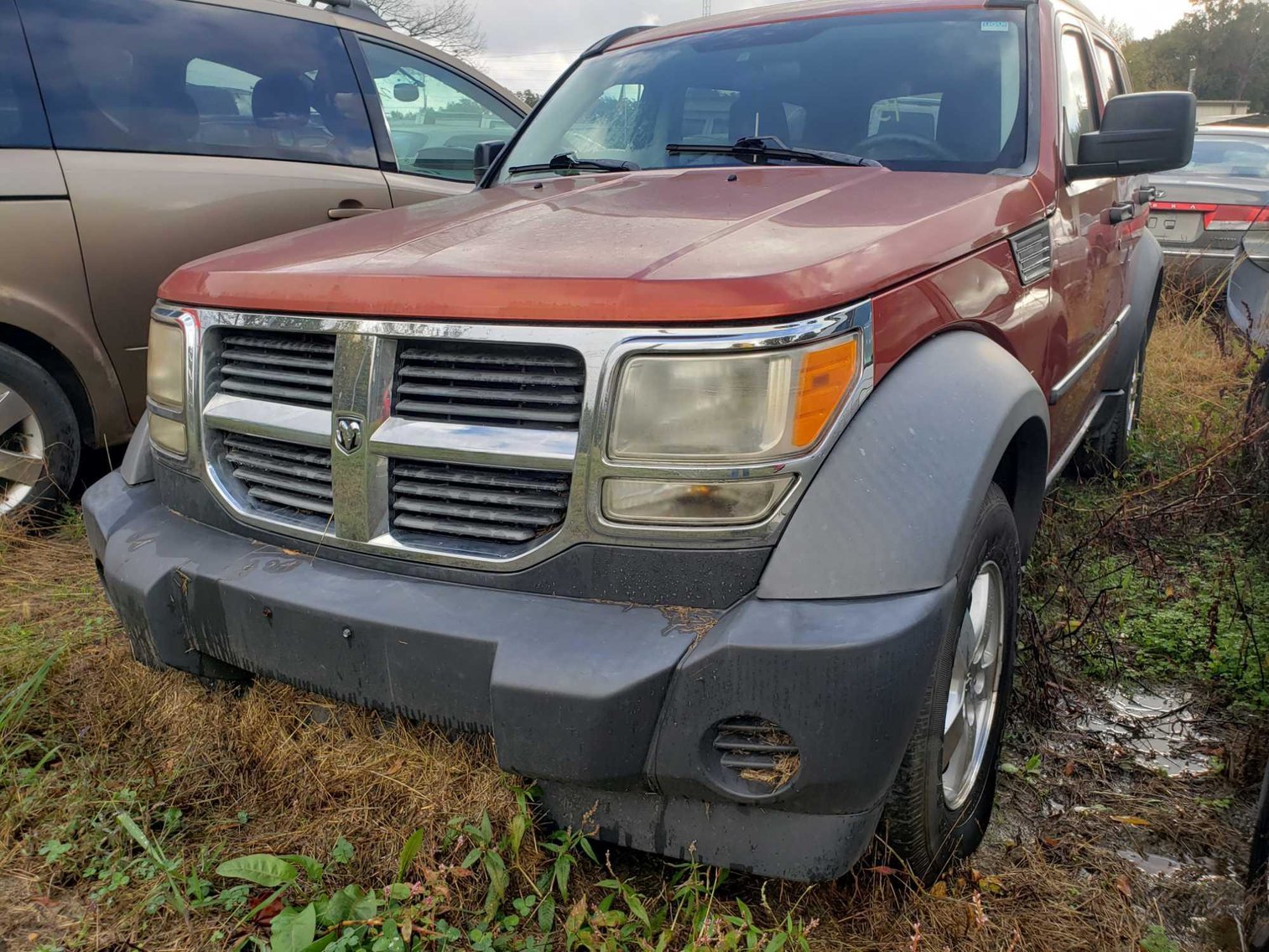 Image for 11-21 City of Greensboro Impounds