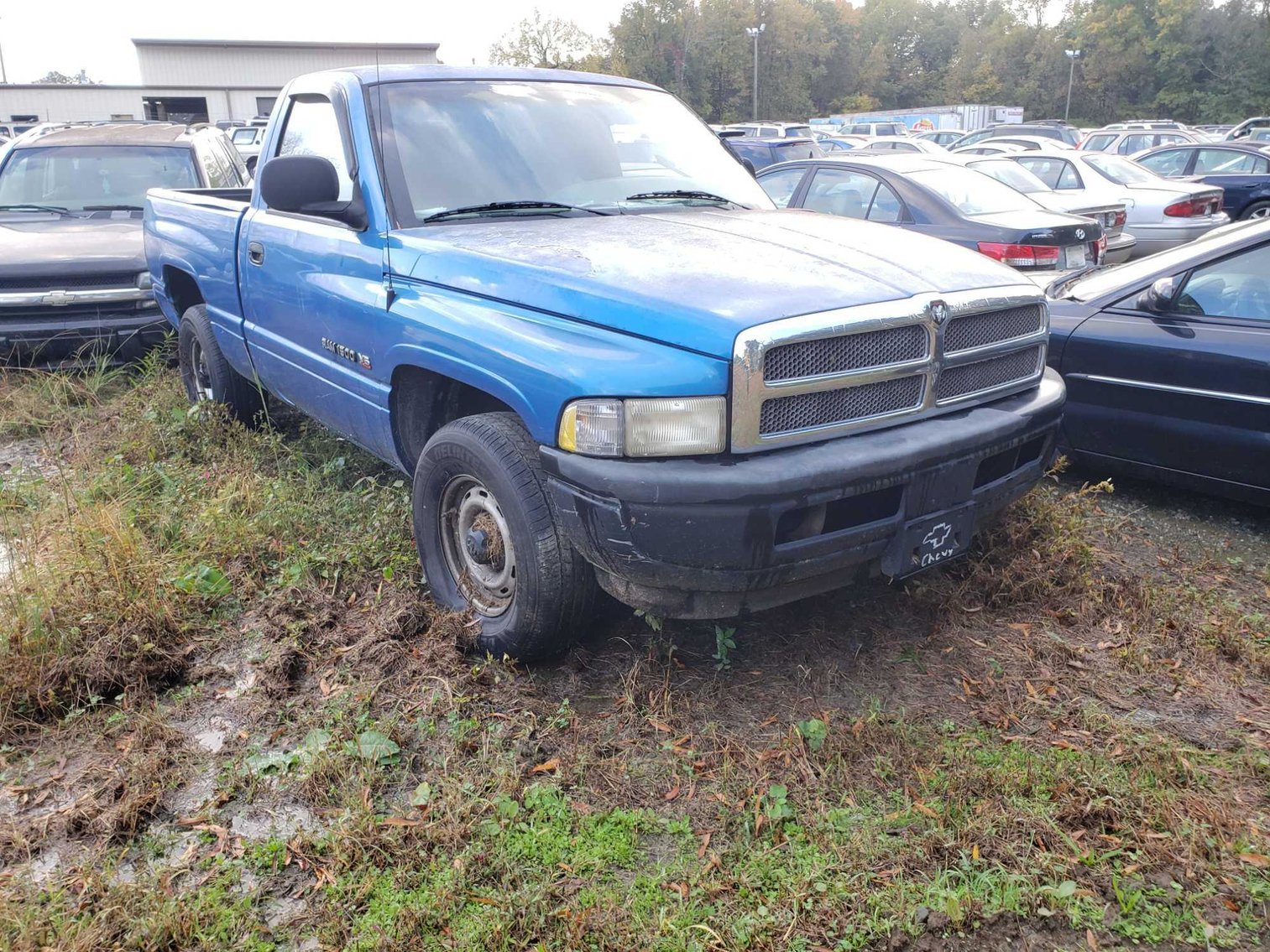 Image for 11-21 City of Greensboro Impounds