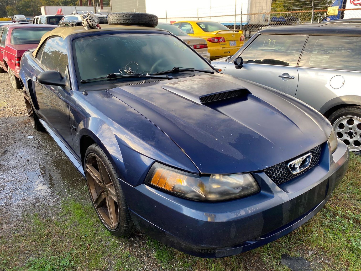 Image for 11-21 City of Greensboro Impounds