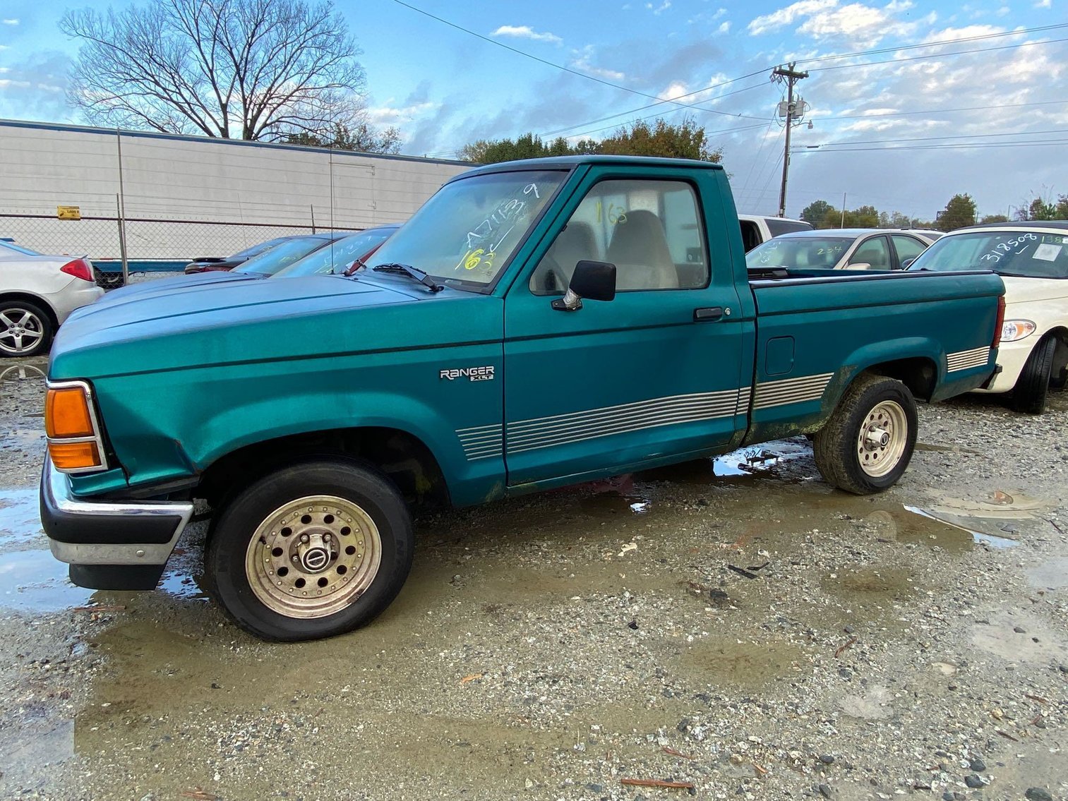 Image for 11-21 City of Greensboro Impounds