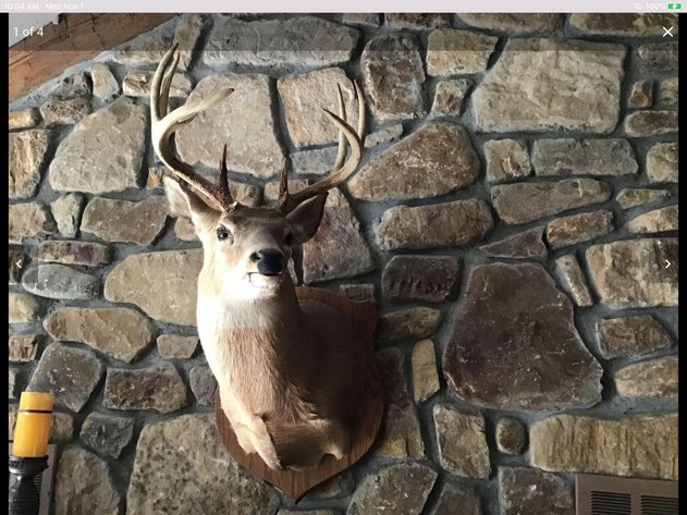 Image for ONLINE ONLY! The Bales Estate Marion, VA