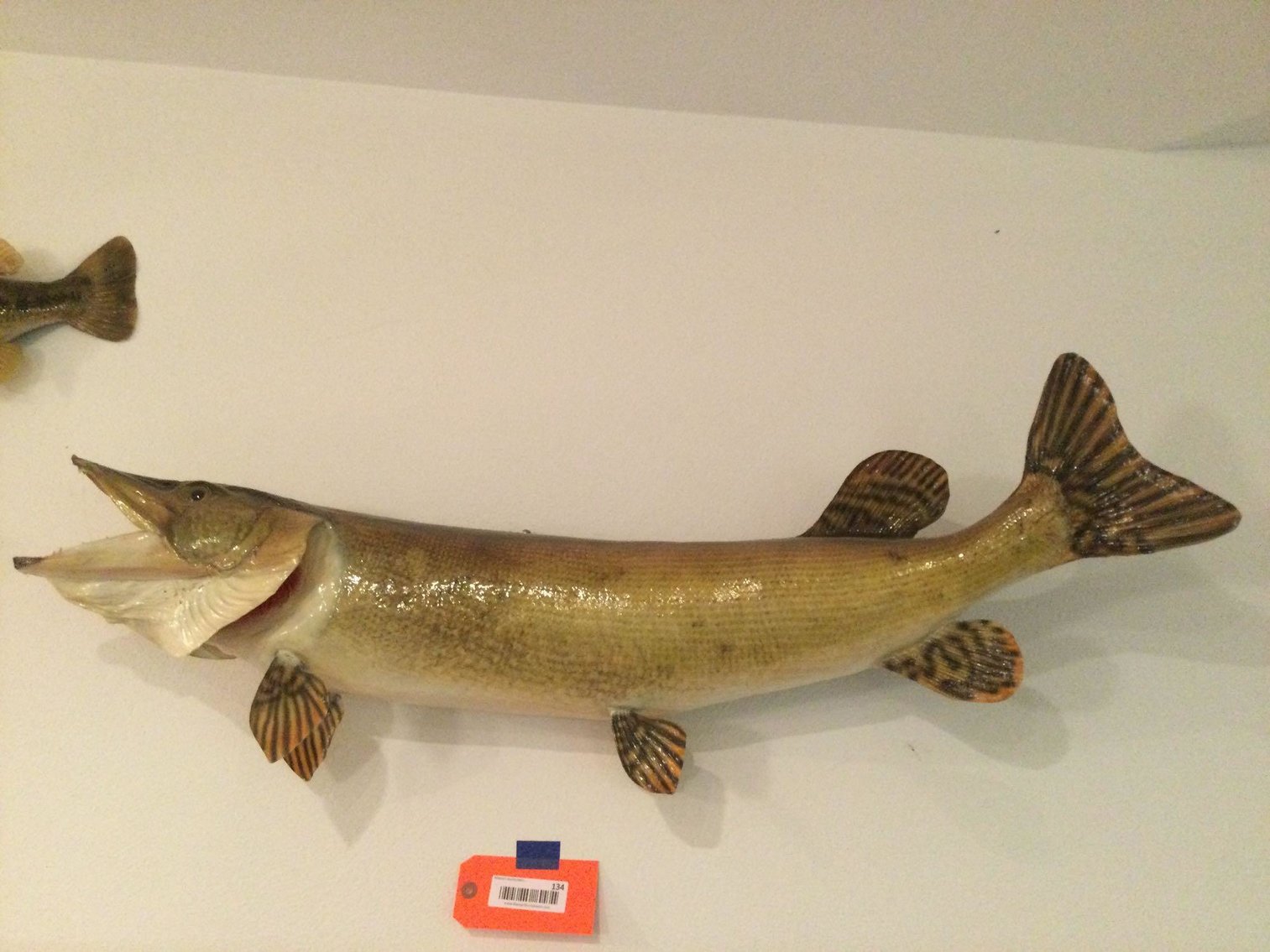 Image for Vehicles, Pontoon paddle boat, Muskie lures, Furniture, Collectibles, Sporting related