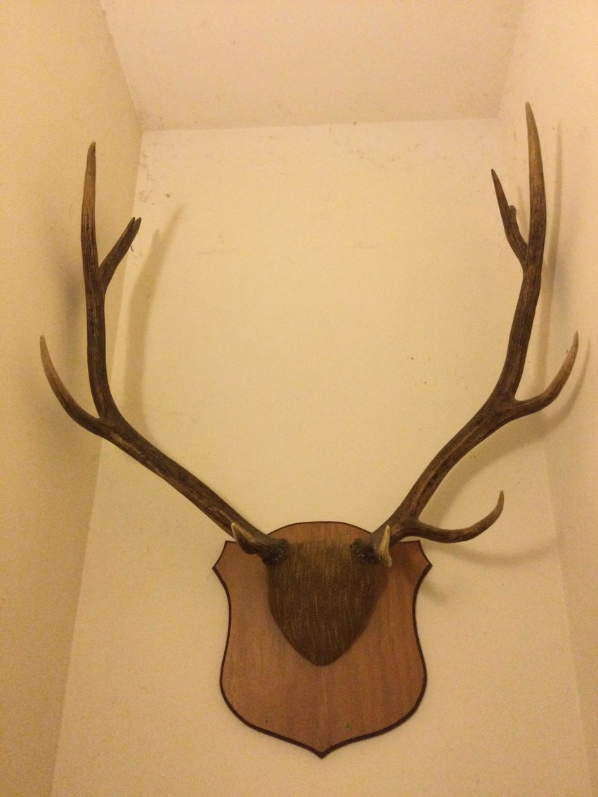 Image for Vehicles, Pontoon paddle boat, Muskie lures, Furniture, Collectibles, Sporting related