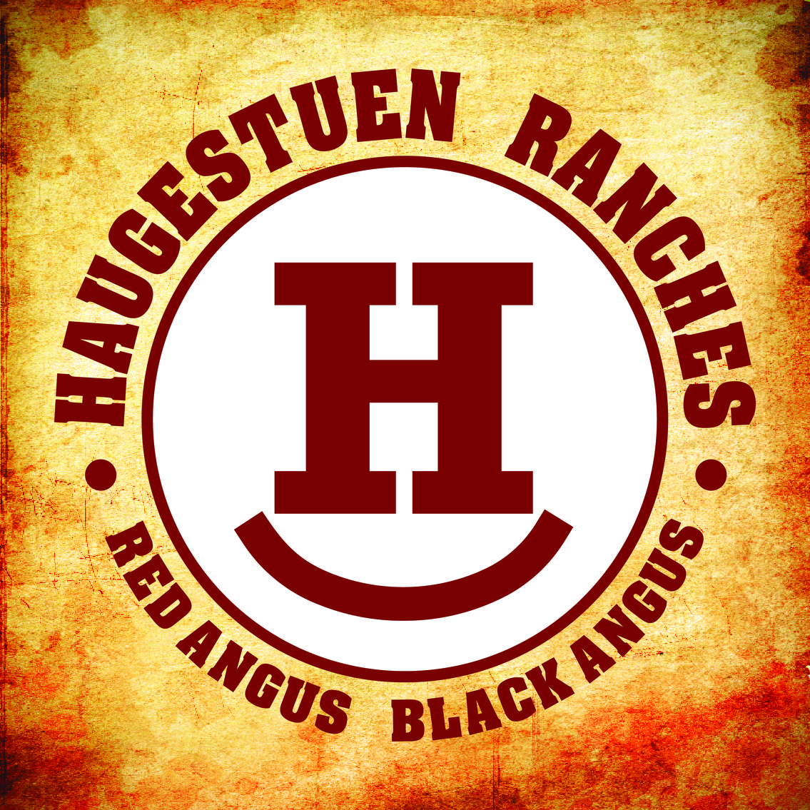 Image for 2022 Haugestuen Ranches Build Your Herd Auction