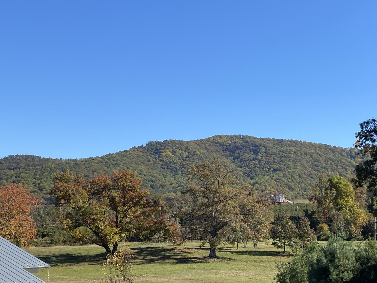 Image for Historic Charlottesville Mountain Home on 48 +/- AC - 2,204 SF - 2326 Stillhouse Creek Rd, Afton VA 22920
