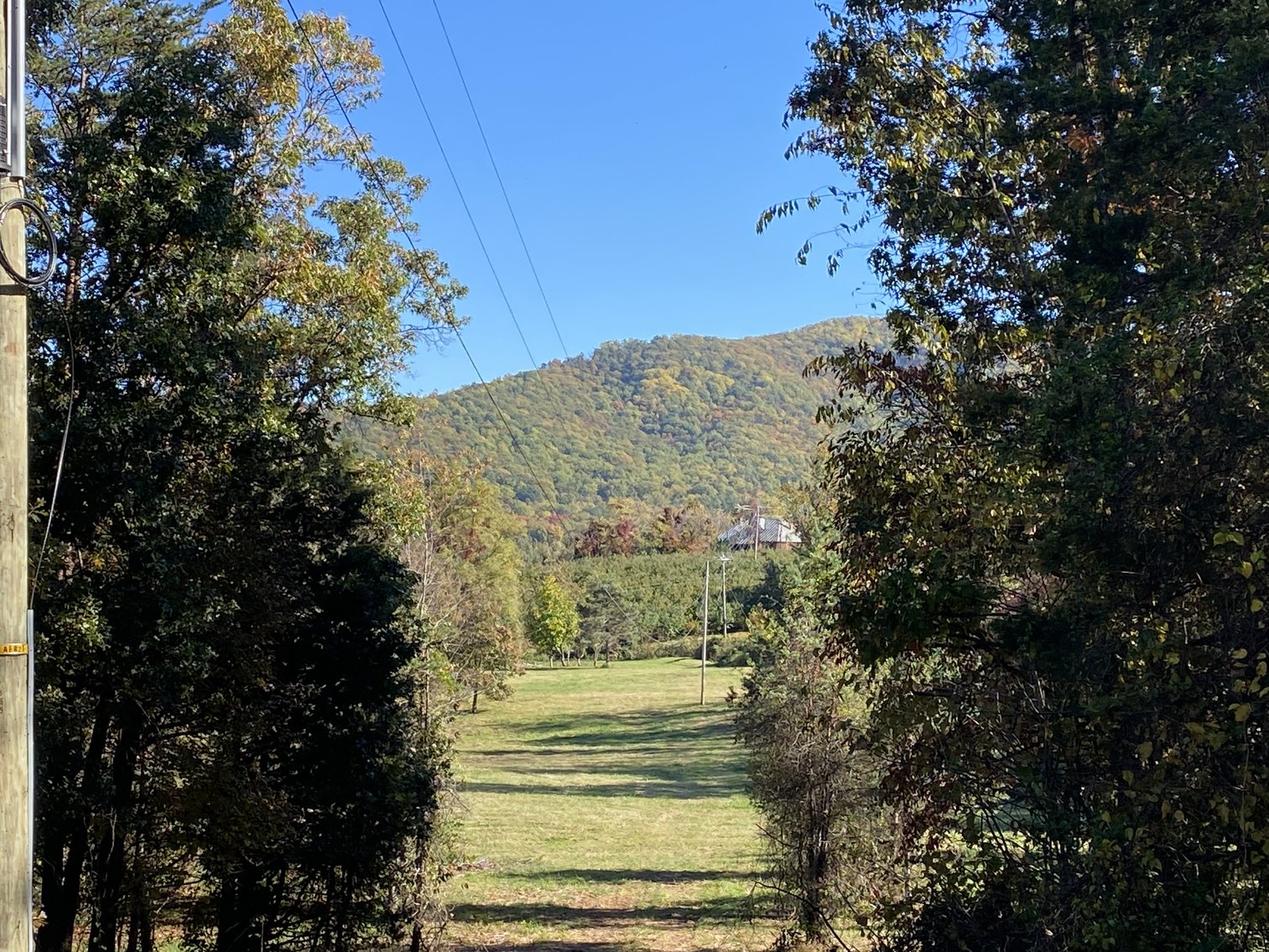 Image for Historic Charlottesville Mountain Home on 48 +/- AC - 2,204 SF - 2326 Stillhouse Creek Rd, Afton VA 22920