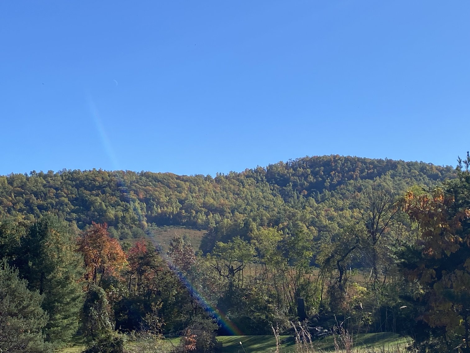Image for Historic Charlottesville Mountain Home on 48 +/- AC - 2,204 SF - 2326 Stillhouse Creek Rd, Afton VA 22920