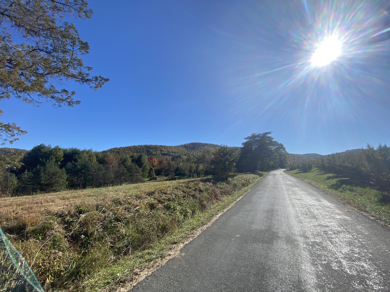 Image for Historic Charlottesville Mountain Home on 48 +/- AC - 2,204 SF - 2326 Stillhouse Creek Rd, Afton VA 22920
