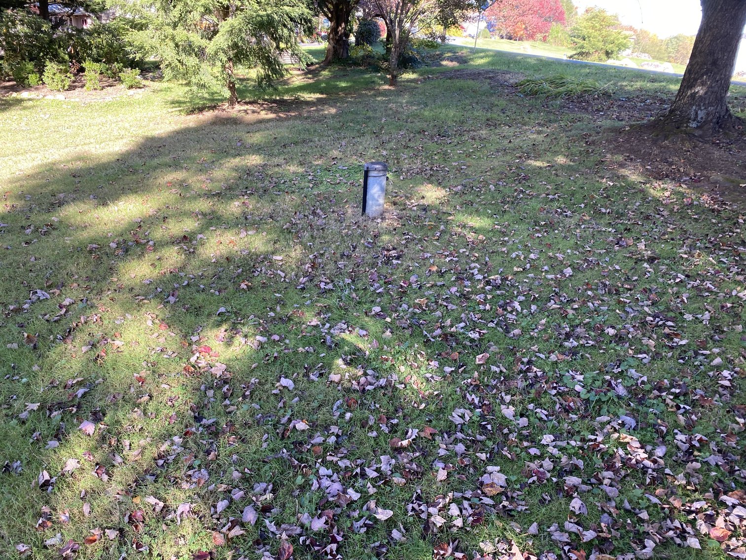 Image for Historic Charlottesville Mountain Home on 48 +/- AC - 2,204 SF - 2326 Stillhouse Creek Rd, Afton VA 22920