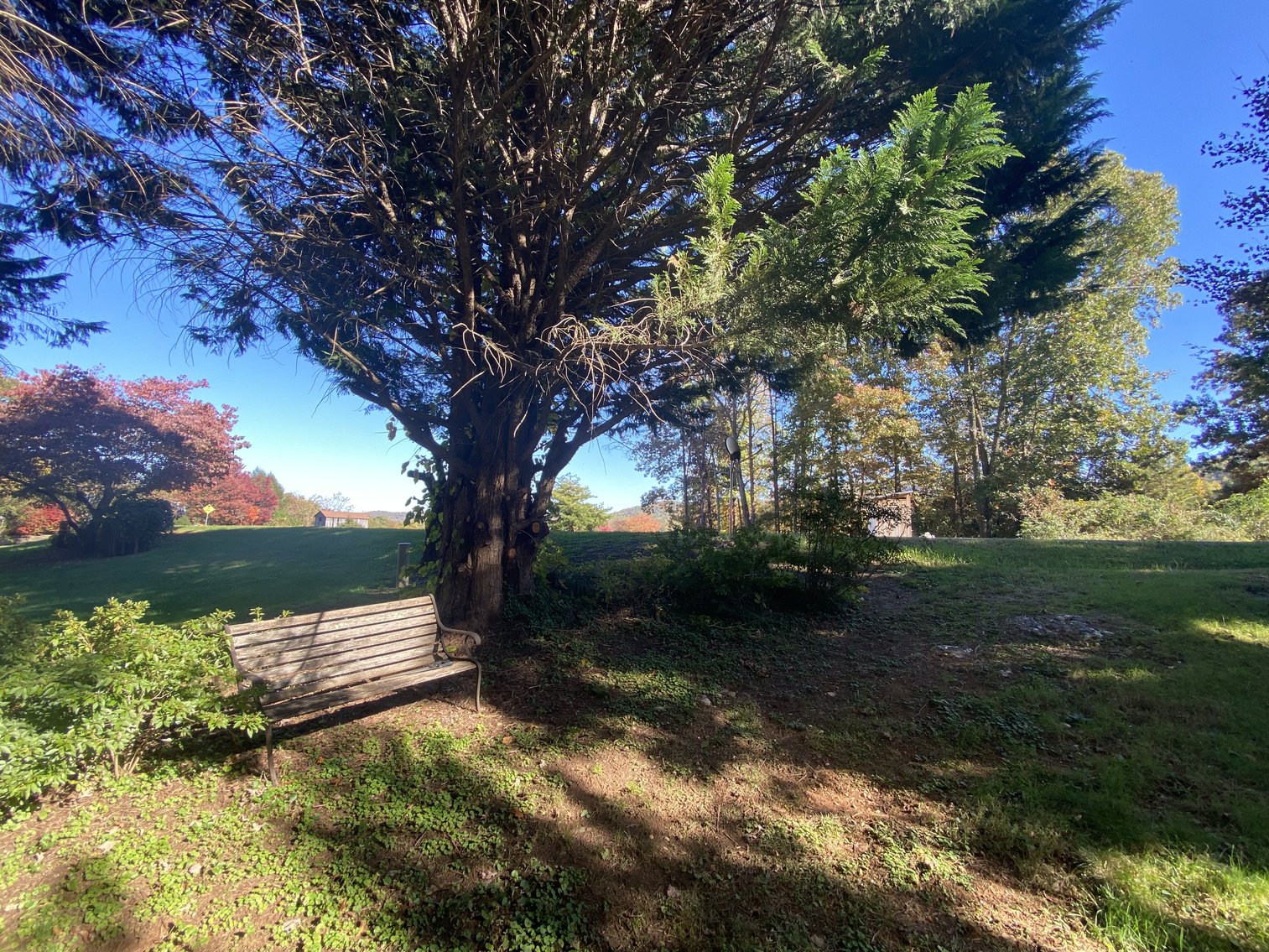 Image for Historic Charlottesville Mountain Home on 48 +/- AC - 2,204 SF - 2326 Stillhouse Creek Rd, Afton VA 22920