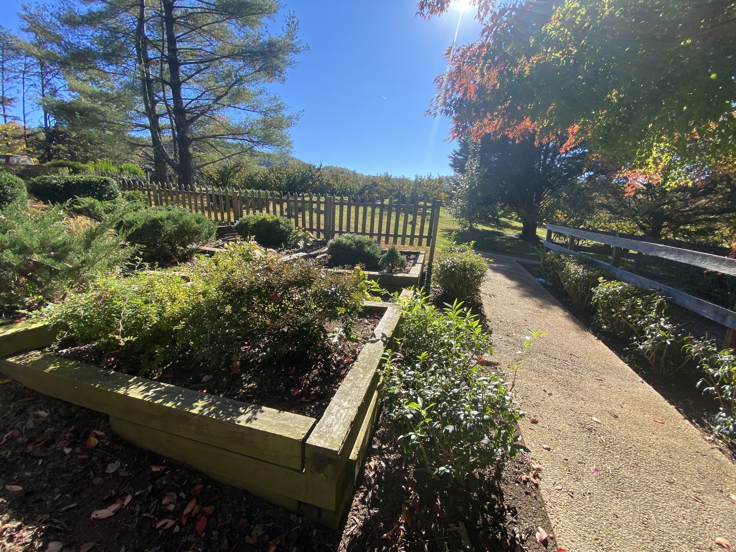 Image for Historic Charlottesville Mountain Home on 48 +/- AC - 2,204 SF - 2326 Stillhouse Creek Rd, Afton VA 22920