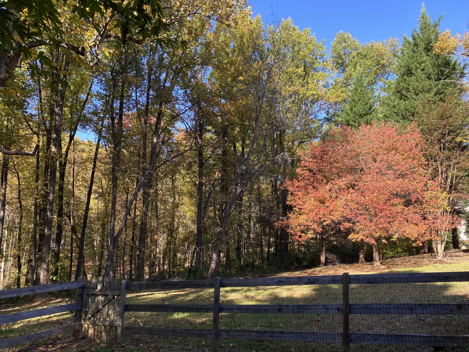 Image for Historic Charlottesville Mountain Home on 48 +/- AC - 2,204 SF - 2326 Stillhouse Creek Rd, Afton VA 22920