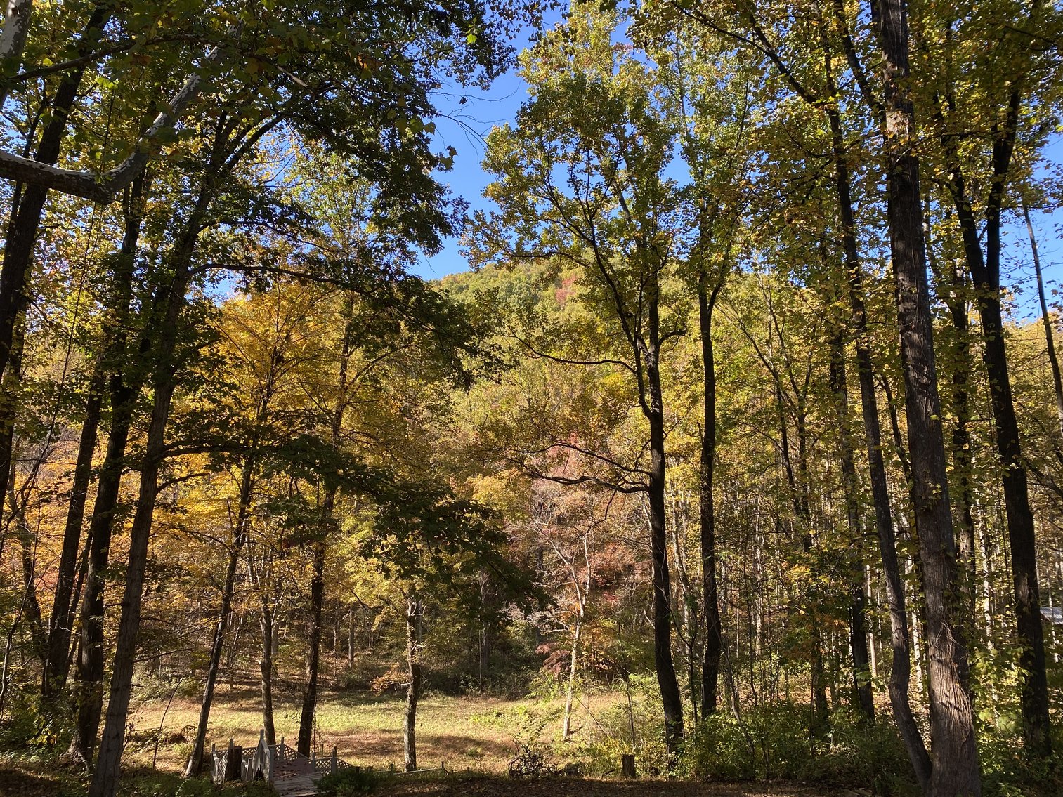 Image for Historic Charlottesville Mountain Home on 48 +/- AC - 2,204 SF - 2326 Stillhouse Creek Rd, Afton VA 22920