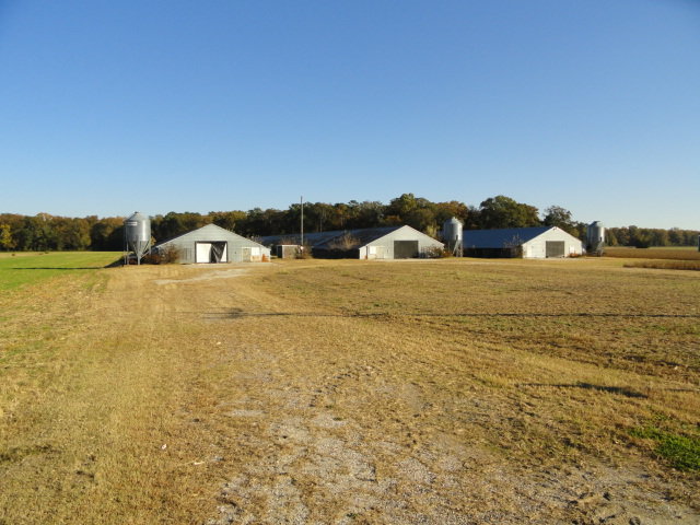 Image for Real Estate Auction - Poultry Farm