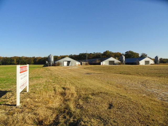 Image for Real Estate Auction - Poultry Farm