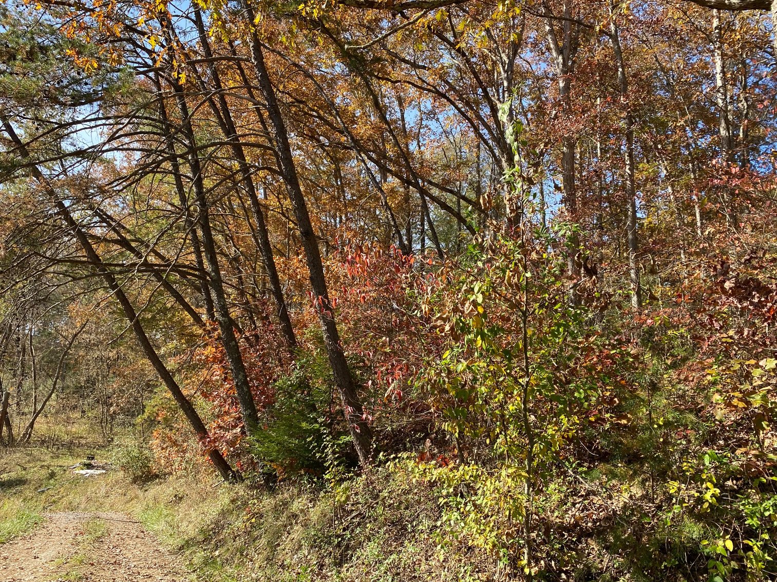 Image for SOLD $17,050 - 2 Bedroom on a Large Lot Selling to the Highest Bidder