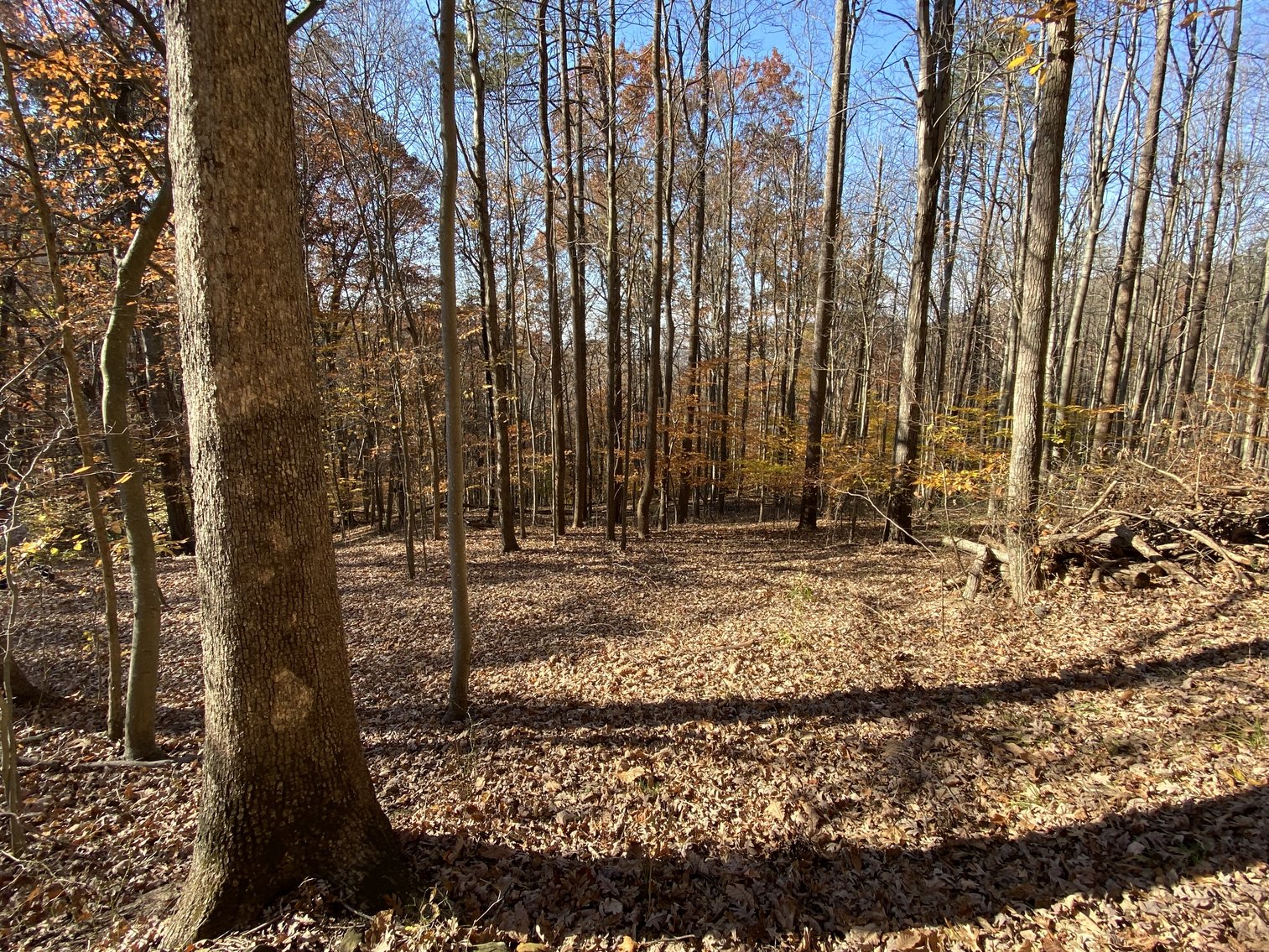 Image for McDerment Real Estate Auction ONLINE Only