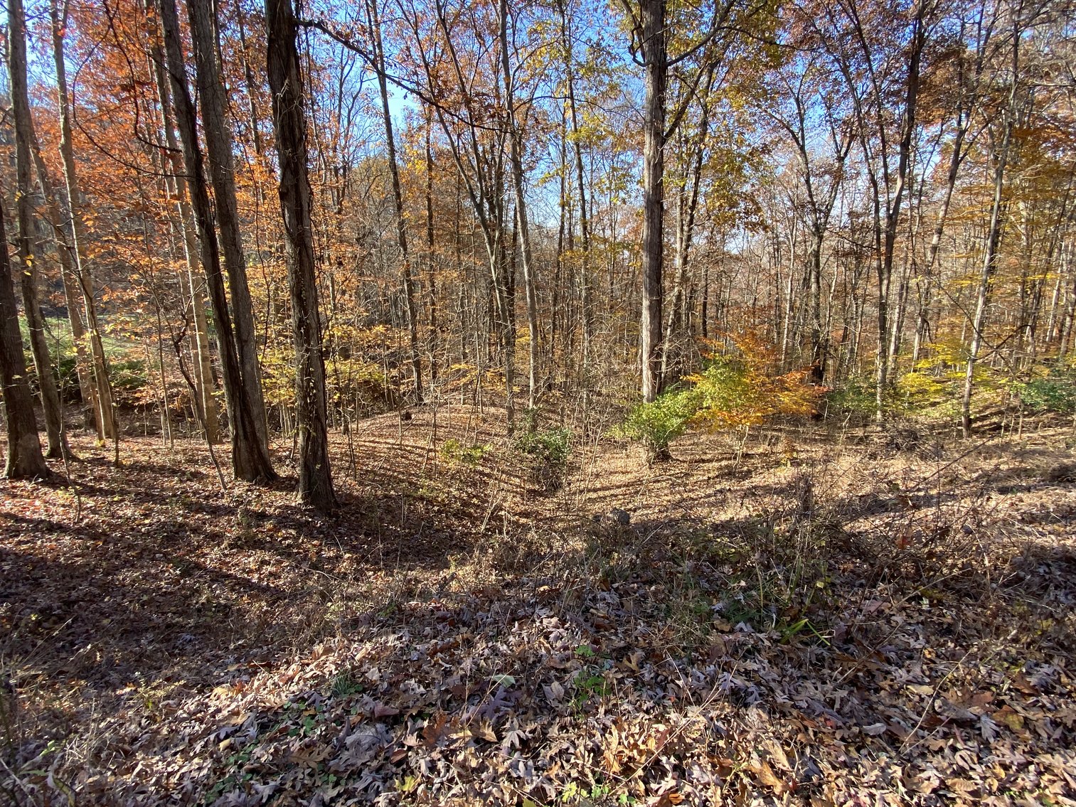 Image for McDerment Real Estate Auction ONLINE Only