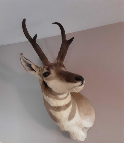 Image for Burton Marketplace Online Auction - November