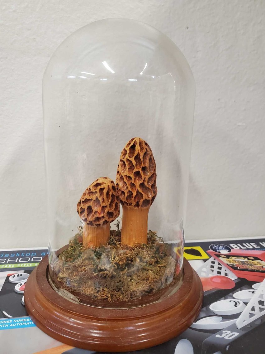 Image for Furniture, Coins, Collectibles, Household-Main back