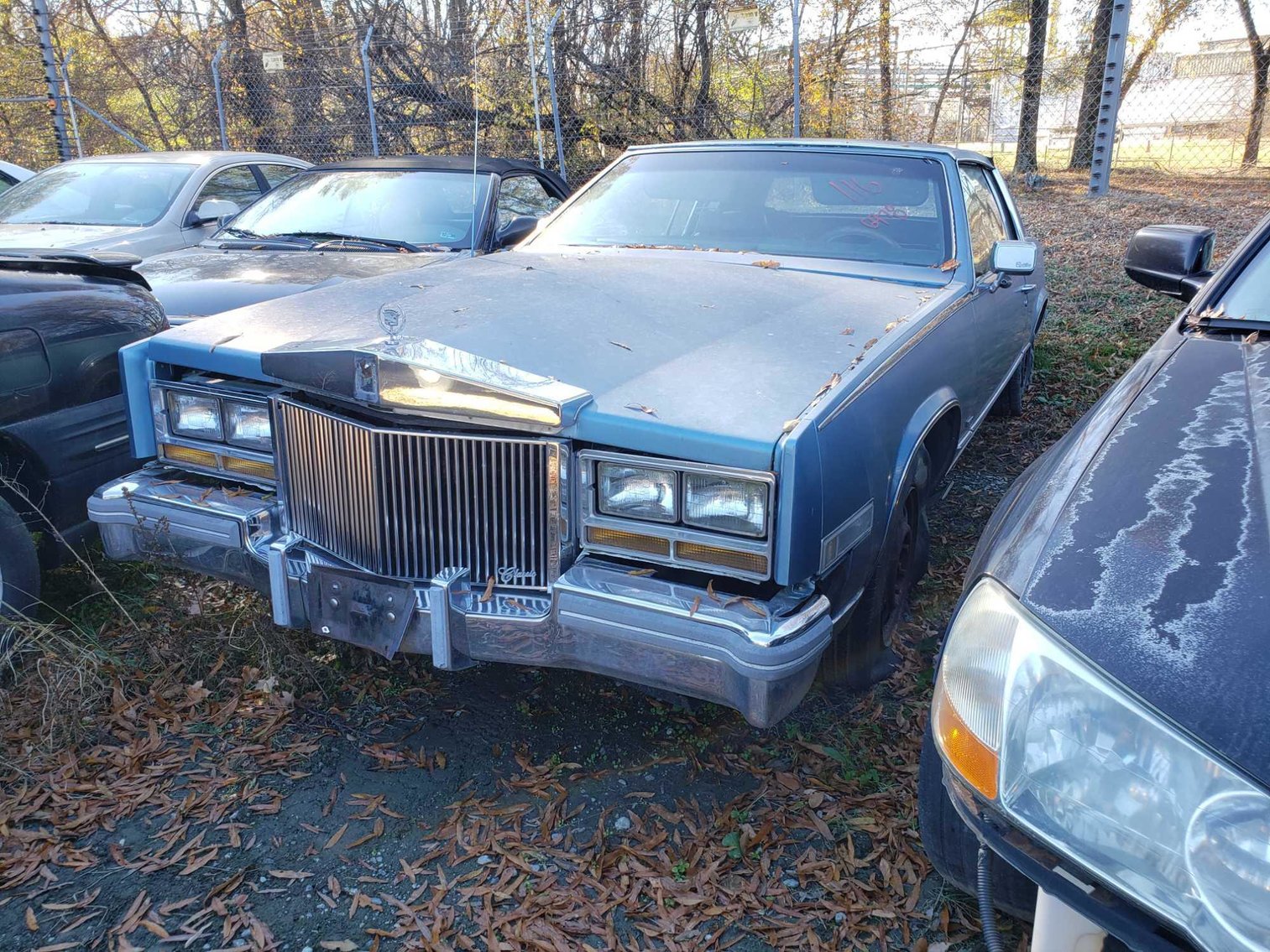 Image for Impounded Vehicles 12-21