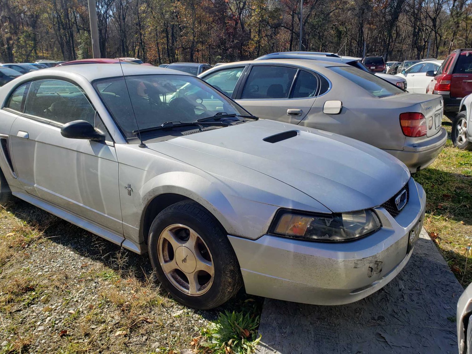 Image for Impounded Vehicles 12-21