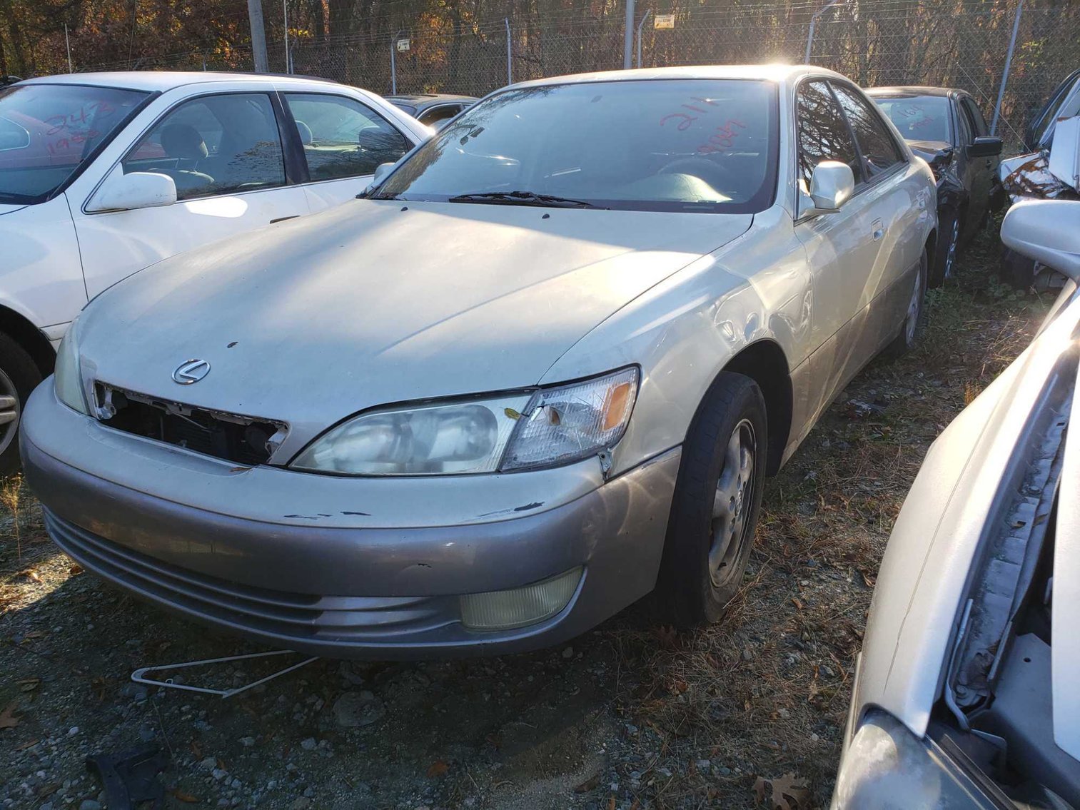 Image for Impounded Vehicles 12-21