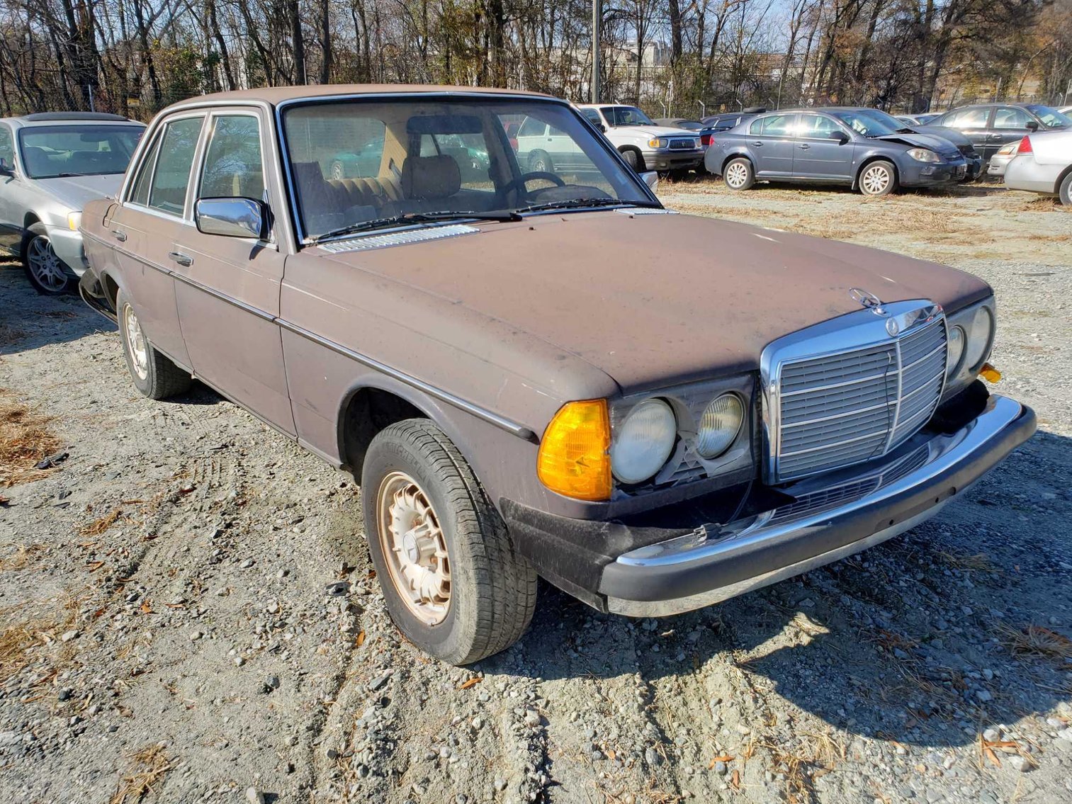 Image for Impounded Vehicles 12-21